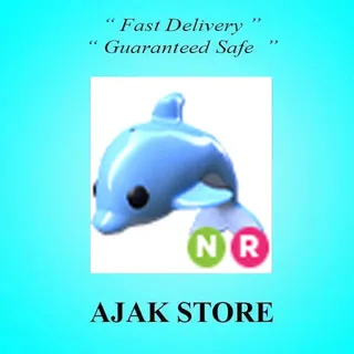 NR Dolphin