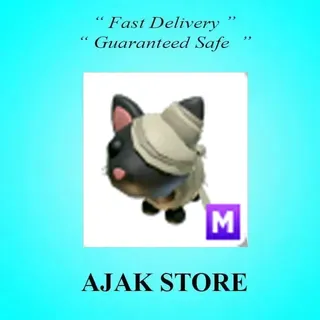 M Halloween Black Mummy Cat
