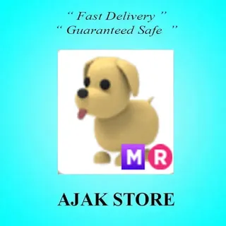 MR Dog