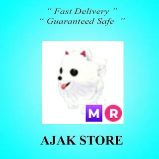 MR Samoyed