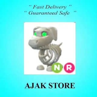 NR Halloween White Skeleton Dog