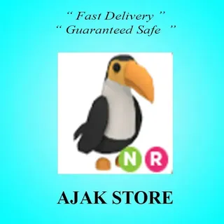 NR Toucan