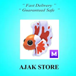 M Orange Betta Fish