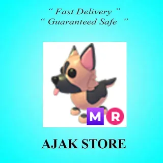 MR German Shepherd