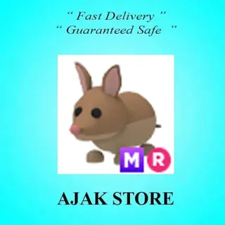 MR Bandicoot
