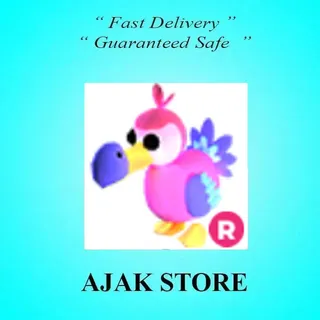 R Dodo