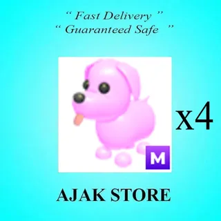 x4 M Pink Dog