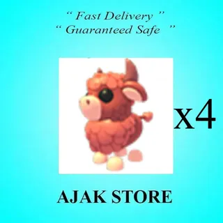 x4 Angus Bull