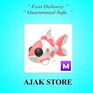 M Koi Carp