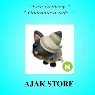 N Halloween Black Mummy Cat