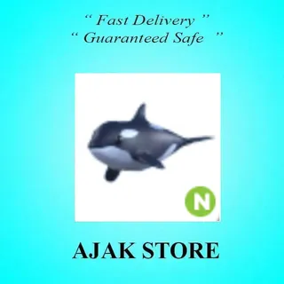 N Orca