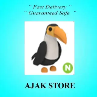 N Toucan