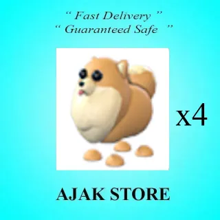 x4 Pomeranian