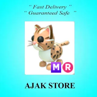 MR Leopard Cat