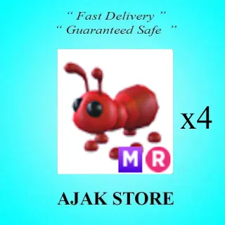 x4 MR Ant