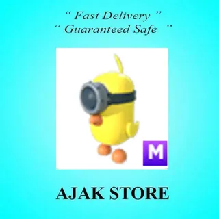 M Zodiac Minion Chick