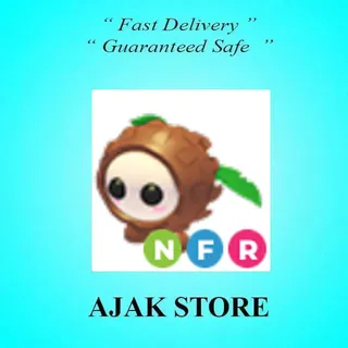 NFR Coconut Friend