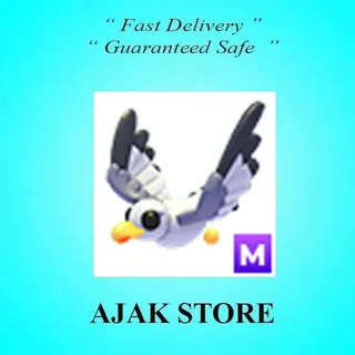 M Seagull