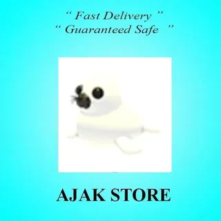 Harp Seal