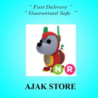 NR Robo Dog