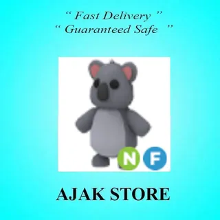 NF Koala