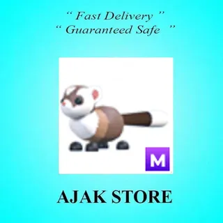 M Black Footed Ferret