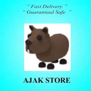 Capybara