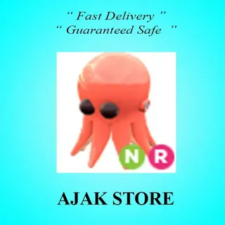 NR Octopus