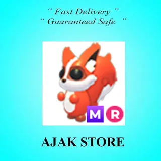 MR Ratatoskr