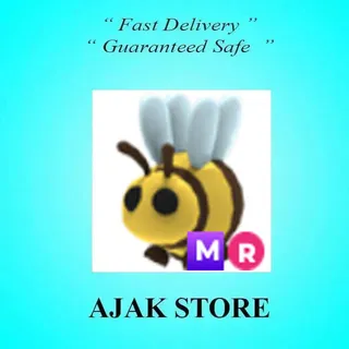 MR Bee