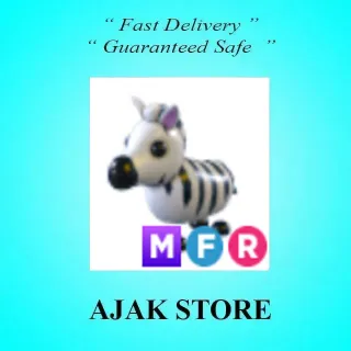 MFR Zebra