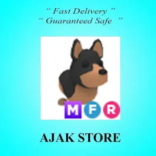 MFR Australian Kelpie
