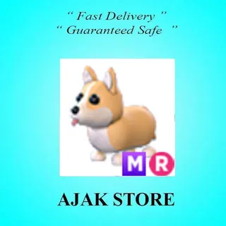 MR Corgi