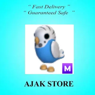 M Parakeet