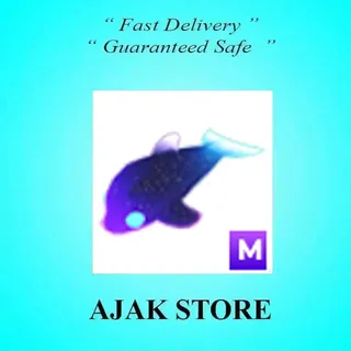 M Glormy Dolphin