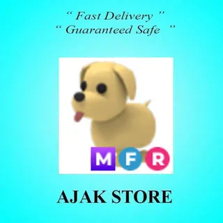 MFR Dog