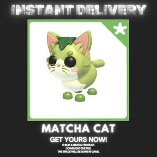 MATCHA CAT