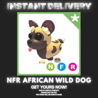 NFR AFRICAN WILD DOG