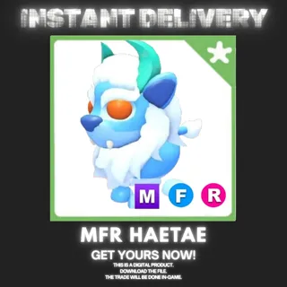 MFR HAETAE