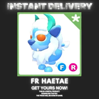 FR HAETAE