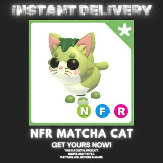 NFR MATCHA CAT
