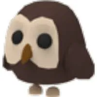 FR OWL