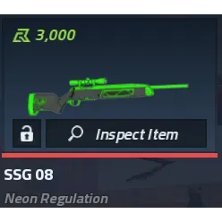 SSG 08 Neon Regulation