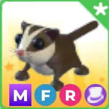 mfr sugar glider