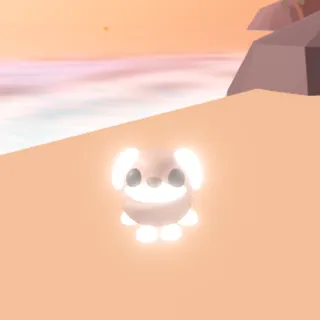 ۶ৎ snowball pug; N