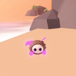 ۶ৎcoconut friend; MFR