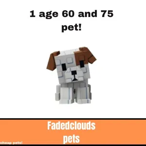 level 60 and 75 pet!