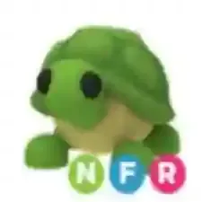 NFR Turtle