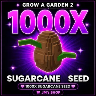 Sugar Cane Seed