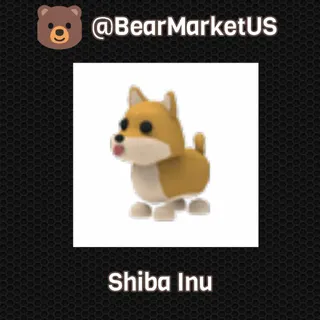 Shiba Inu